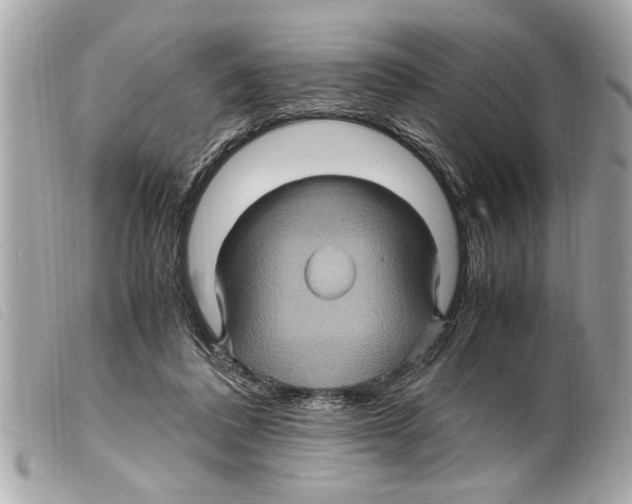 X0000099290308200805301118