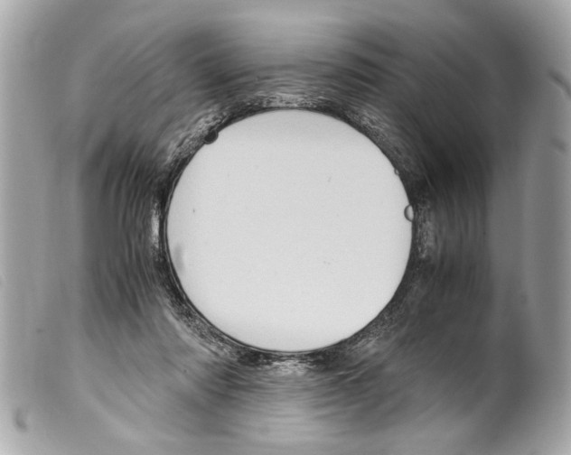 X0000099290310200805301118
