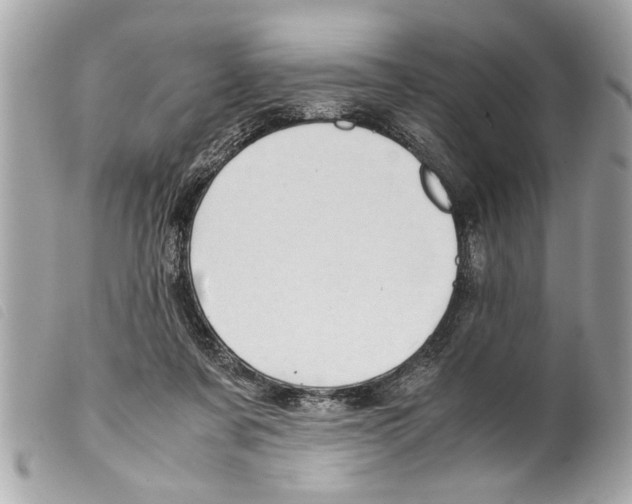 X0000099290311200805301117