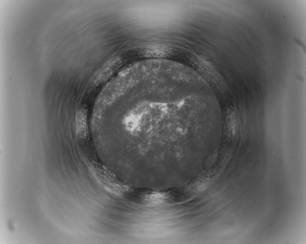 X0000099290312200805301117