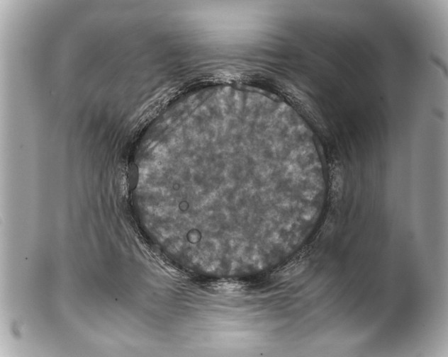 X0000099290313200805301117