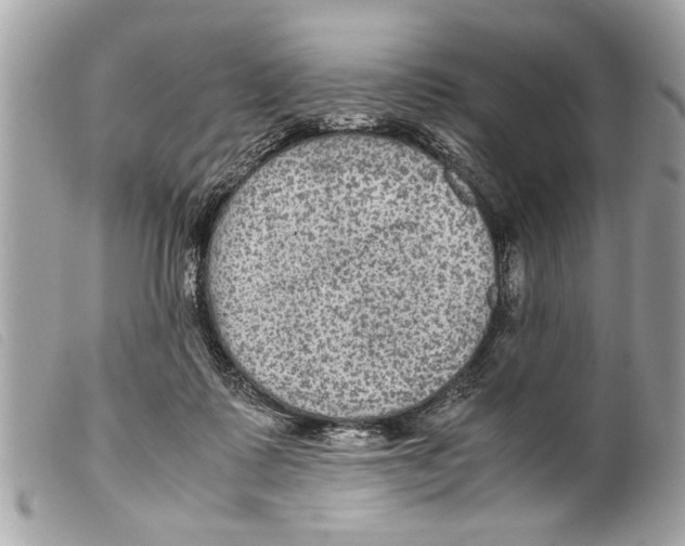 X0000099290315200805301117