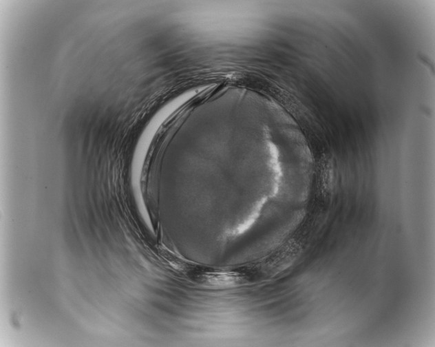X0000099290316200805301117