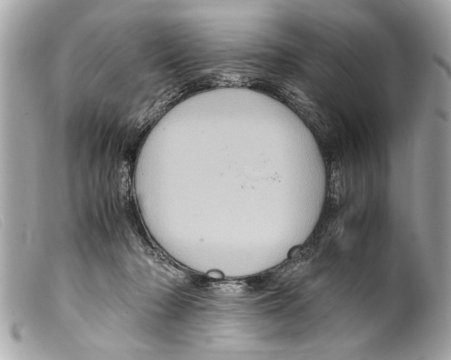 X0000099290318200805301117