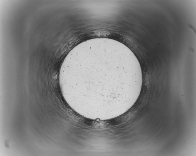 X0000099290321200805301117