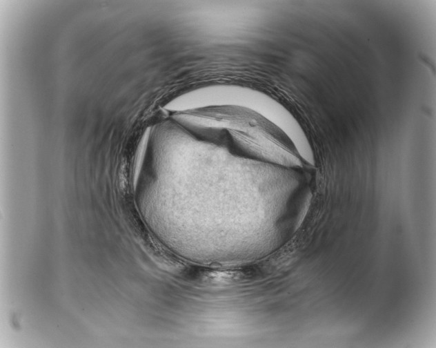 X0000099290323200805301117
