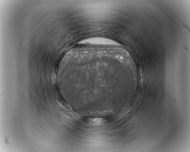X0000099290324200805301117