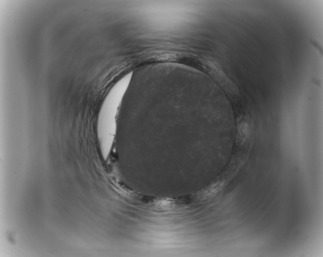 X0000099290325200805301117