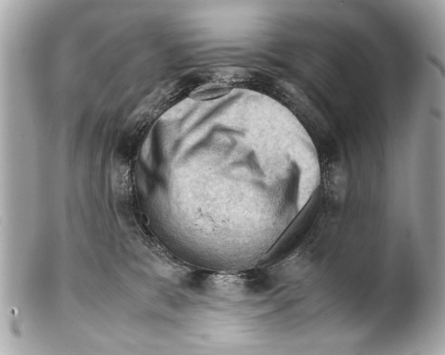 X0000099290327200805301117
