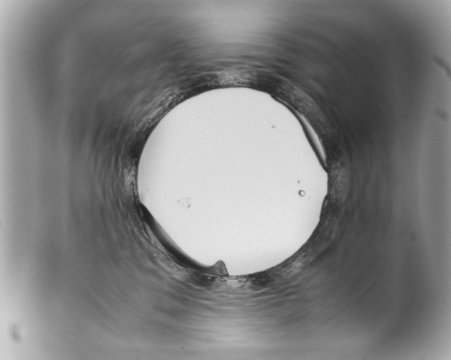 X0000099290329200805301117