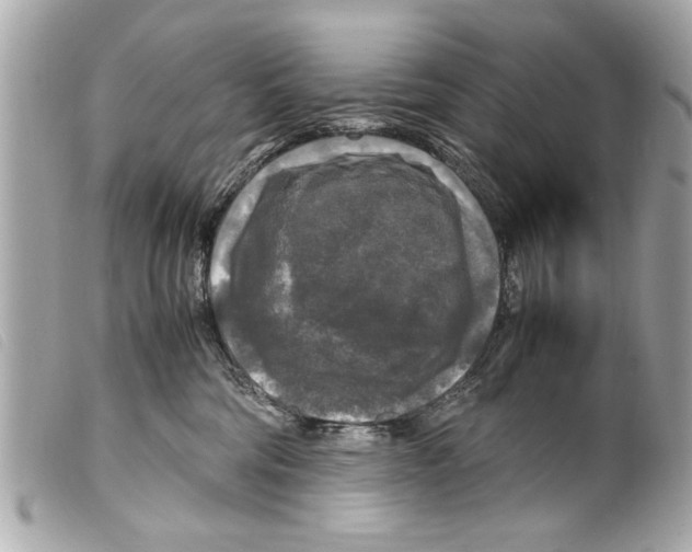 X0000099290330200805301117