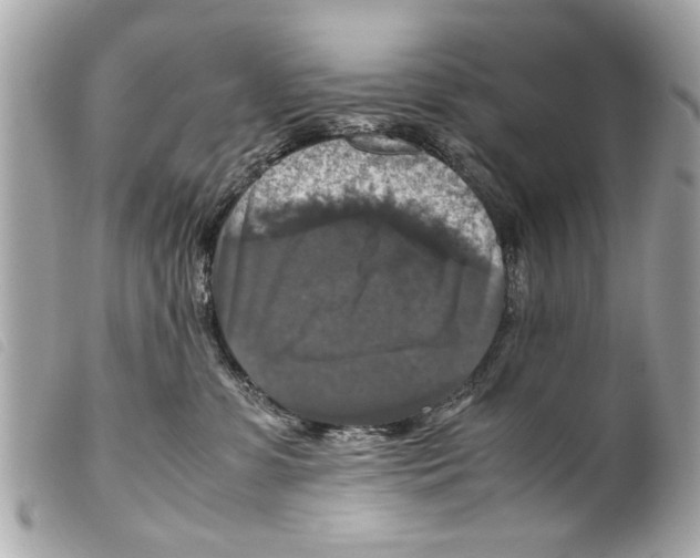 X0000099290331200805301117