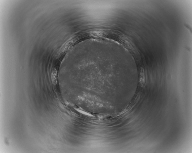 X0000099290332200805301117