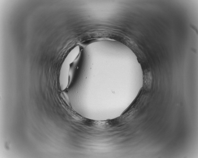 X0000099290333200805301117