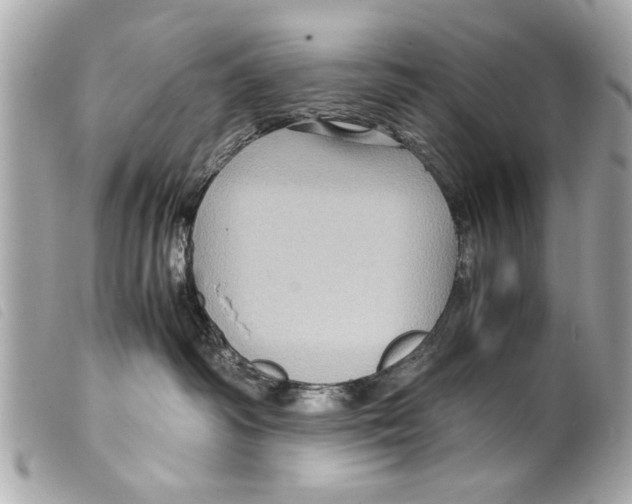 X0000099290334200805301117
