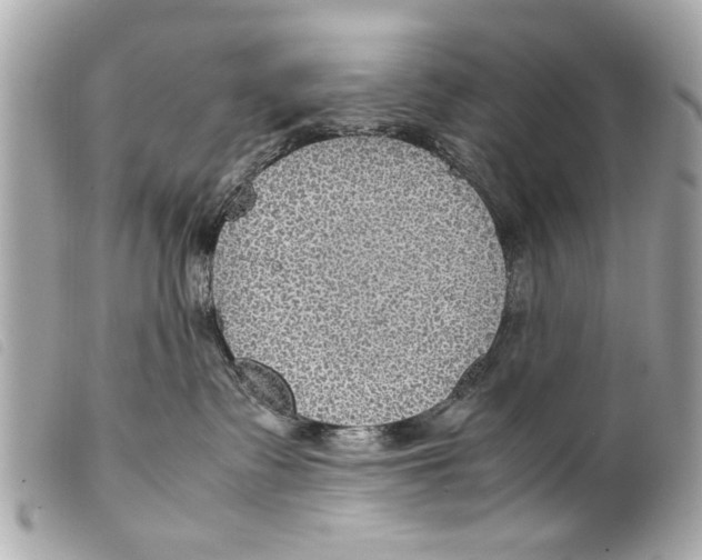 X0000099290335200805301117