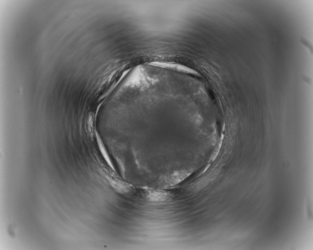 X0000099290336200805301117