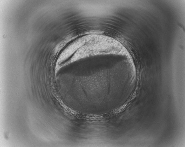 X0000099290337200805301116