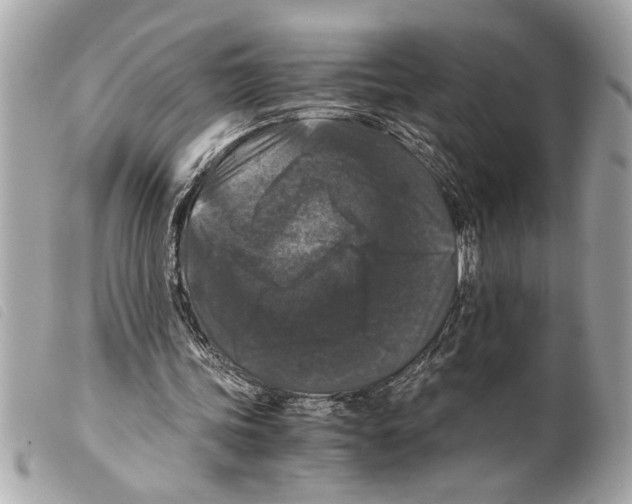 X0000099290339200805301116