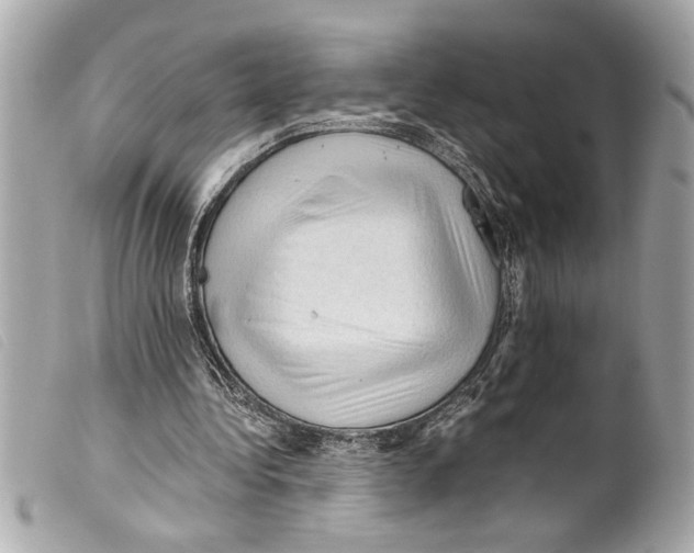 X0000099290340200805301116