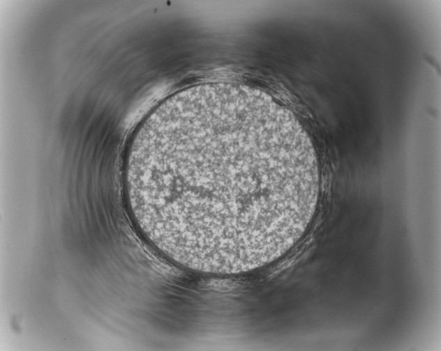 X0000099290341200805301116