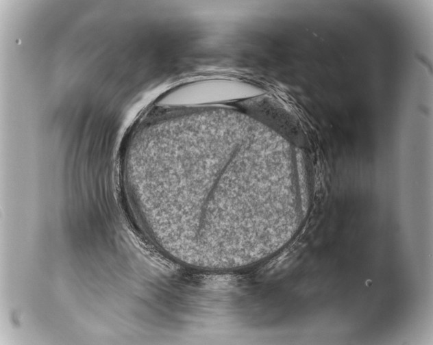 X0000099290342200805301116
