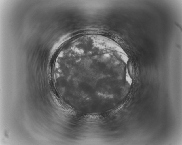 X0000099290343200805301116