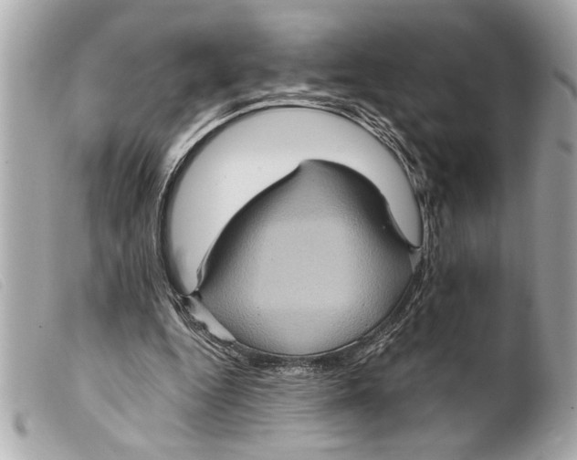 X0000099290344200805301117