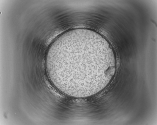X0000099290345200805301117