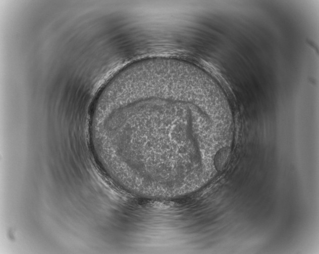 X0000099290346200805301117