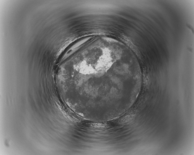X0000099290347200805301117
