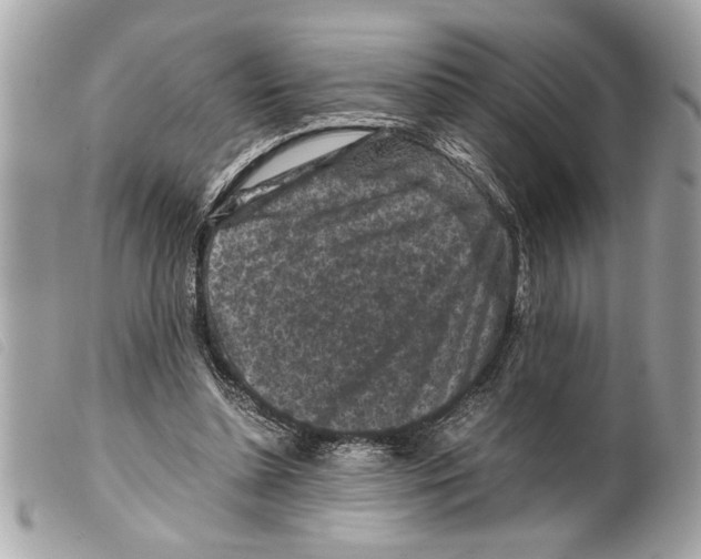 X0000099290348200805301117