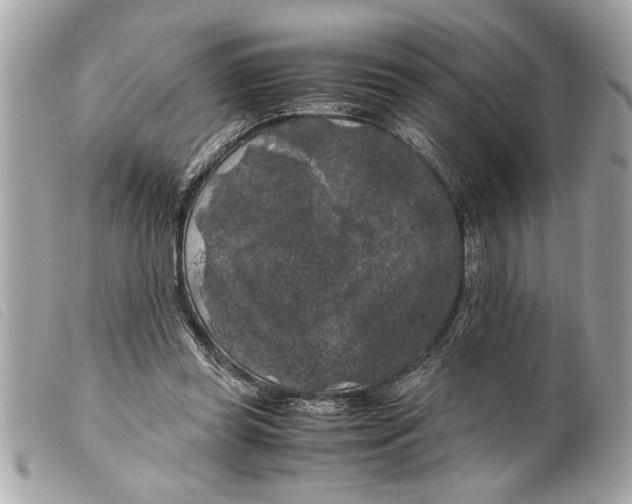 X0000099290349200805301117