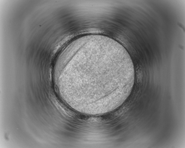 X0000099290350200805301117
