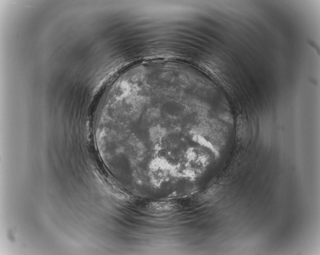 X0000099290351200805301117
