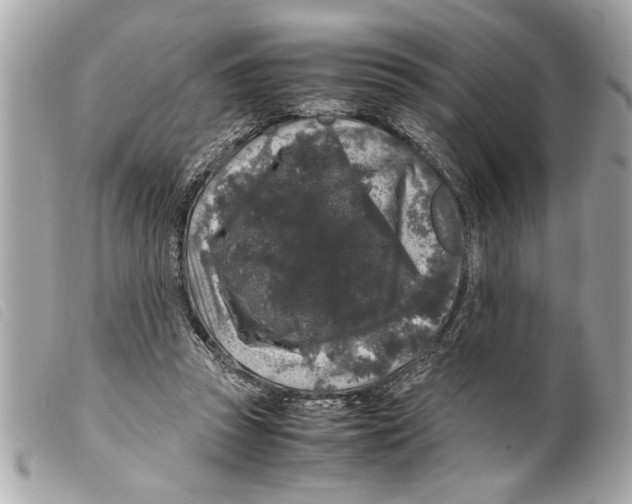 X0000099290353200805301117