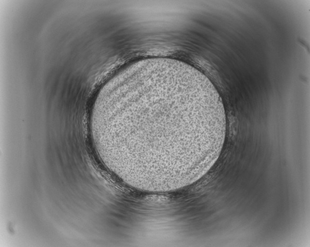 X0000099290354200805301117