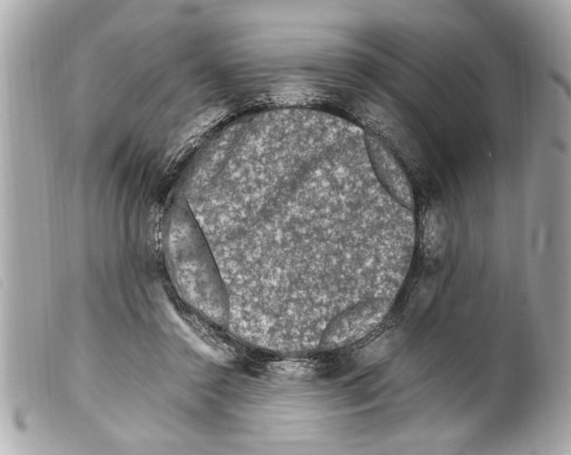 X0000099290356200805301117