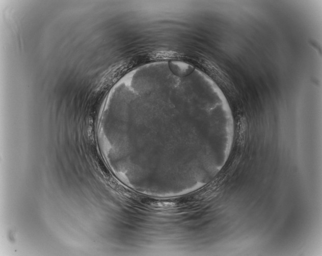 X0000099290361200805301117