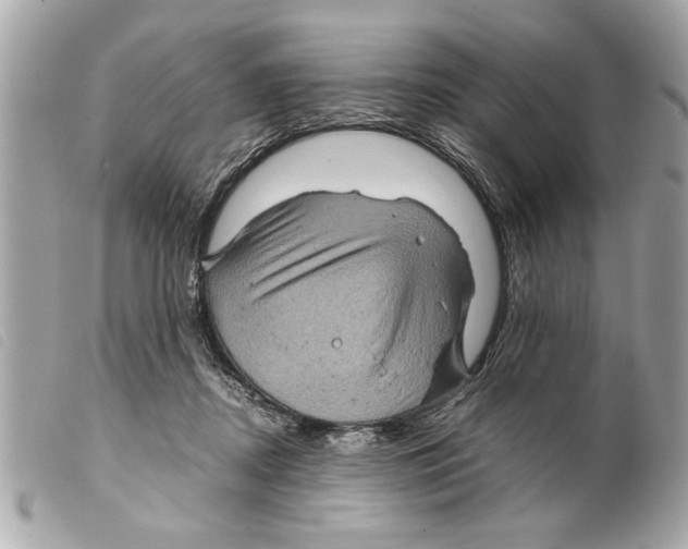 X0000099290362200805301117