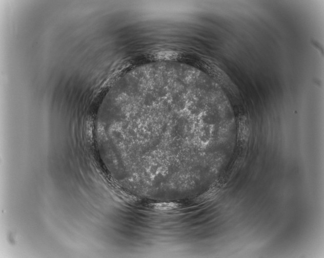 X0000099290363200805301117