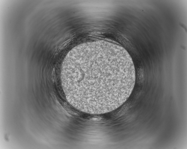 X0000099290364200805301117