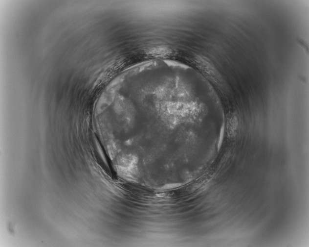 X0000099290365200805301117