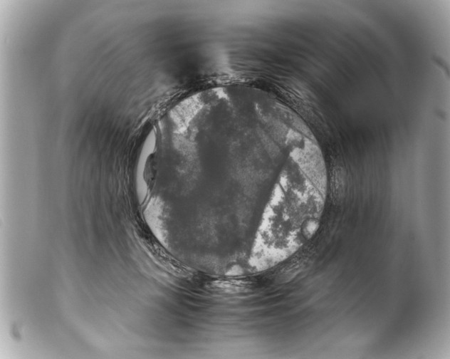 X0000099290367200805301117