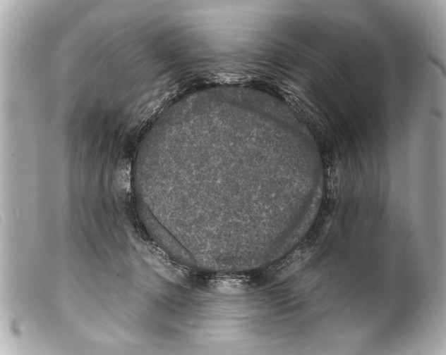 X0000099290368200805301117