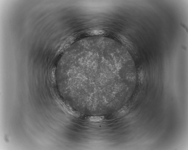 X0000099290373200805301117