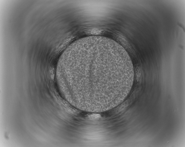 X0000099290374200805301117