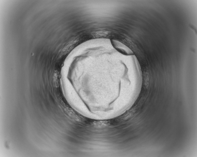 X0000099290378200805301117