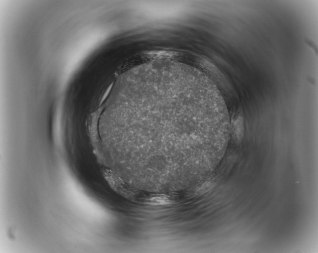 X0000099290381200805301117