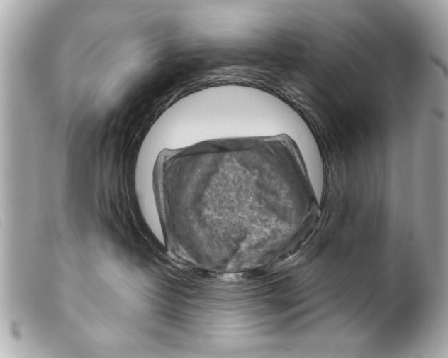 X0000099290382200805301117